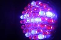 Acne 415nm LED Blue & Red 660nm Light Therapy Bulbs